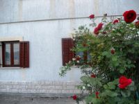 Apartments Opatija Croatia,Villa Andreja , Opatija